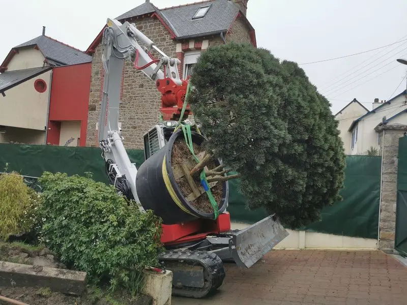 amenagement exterieur arbre